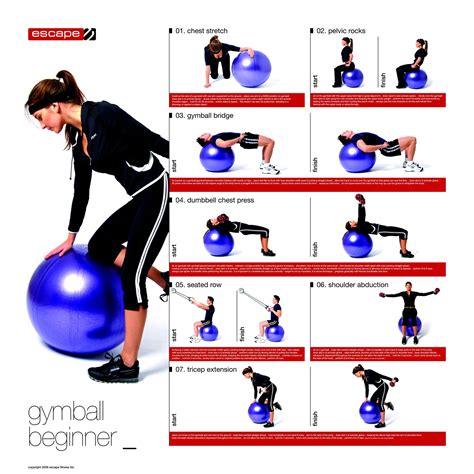 What is the difference between an exercise ball and a stability ball?