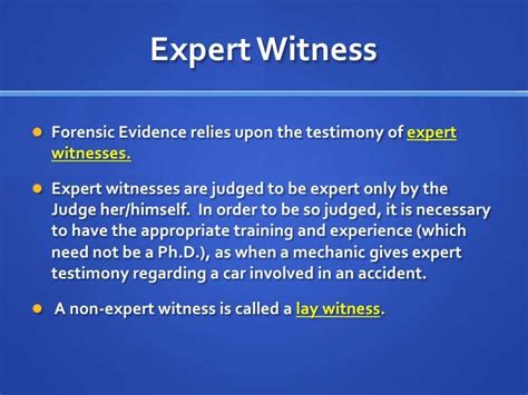 What is the difference between an expert witness and a lay witness?