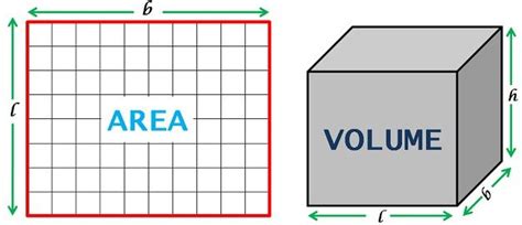 What is the difference between area and volume?