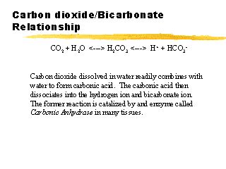 What is the difference between bicarbonate and carbon dioxide?