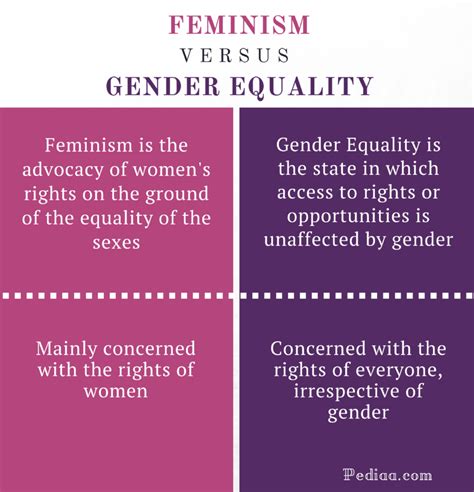 What is the difference between equity and equality in feminism?