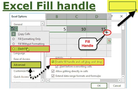 What is the difference between flash fill and fill handle in Excel?