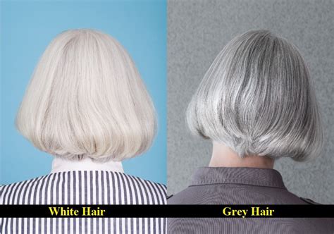 What is the difference between gray hair and silver hair?