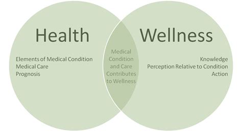What is the difference between health and wellness?