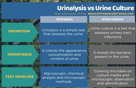 What is the difference between human urine and pet urine?