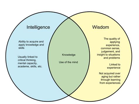 What is the difference between insight and wisdom in D&D?