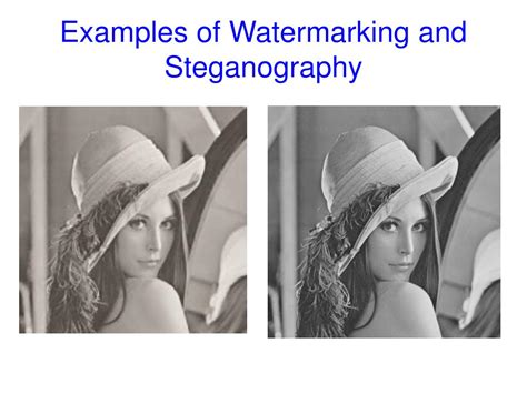 What is the difference between invisible watermarking and steganography?