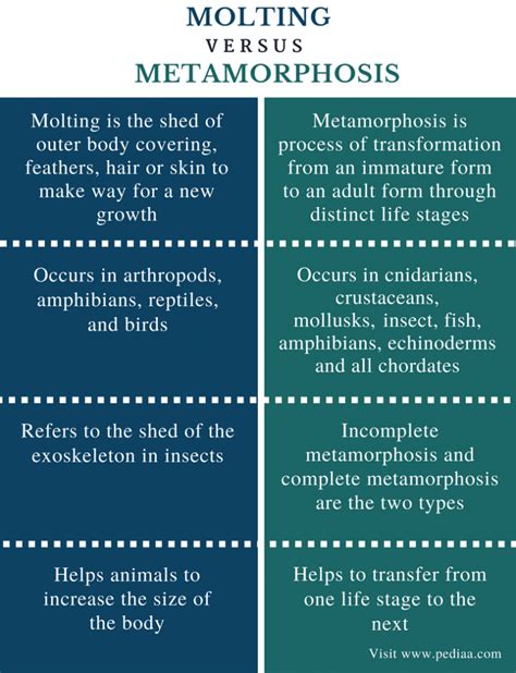 What is the difference between molt and moult?