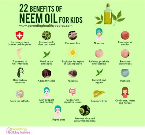 What is the difference between neem oil and neem leaf?