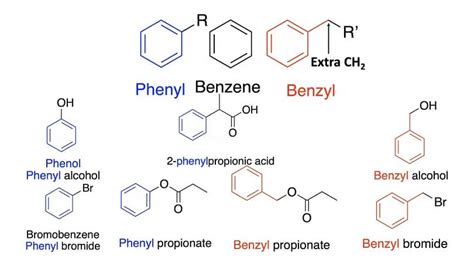 What is the difference between phenyl and benzyl?