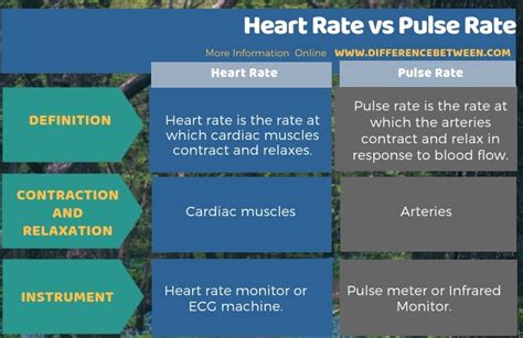 What is the difference between pulse rate and heart rate?