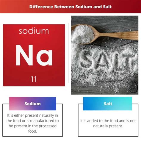 What is the difference between salt and light?