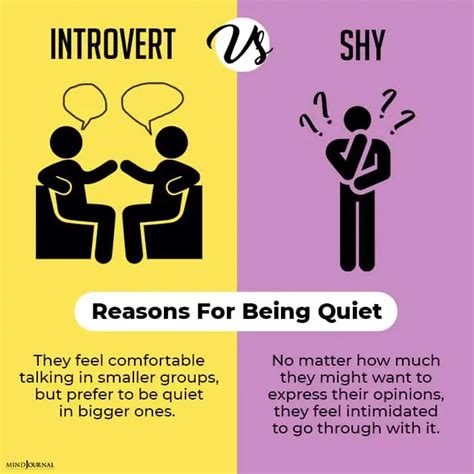 What is the difference between shy and quiet?