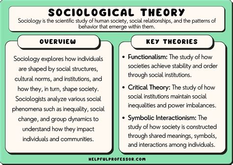 What is the difference between social theory and sociological theory?