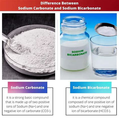 What is the difference between sodium bicarbonate and sodium carbonate?