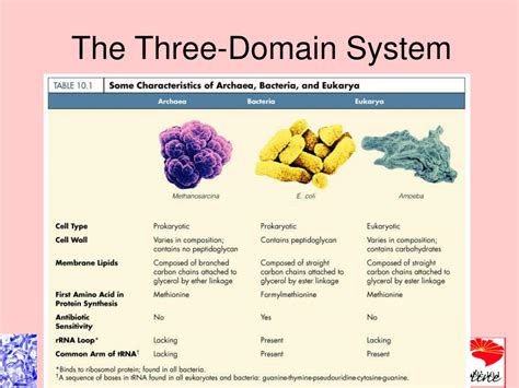 What is the difference between the 3 domains?
