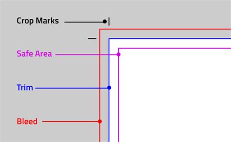 What is the difference between trim and crop in Photoshop?