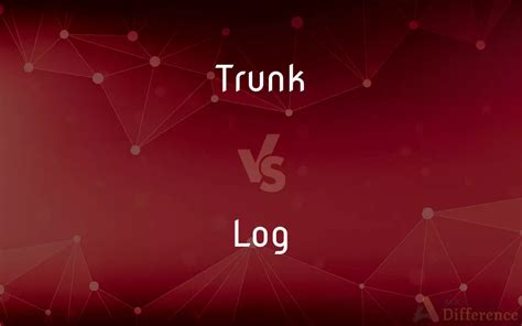 What is the difference between trunk and log?