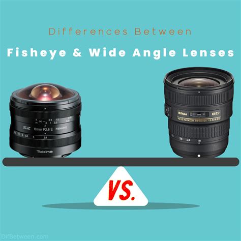 What is the difference between wide-angle and fisheye lenses?