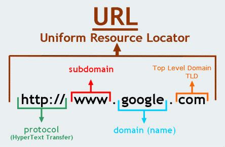 What is the domain in a URL?