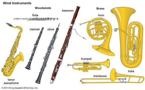 What is the easiest blowing instrument?