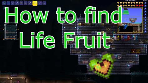 What is the easiest way to find life fruit?