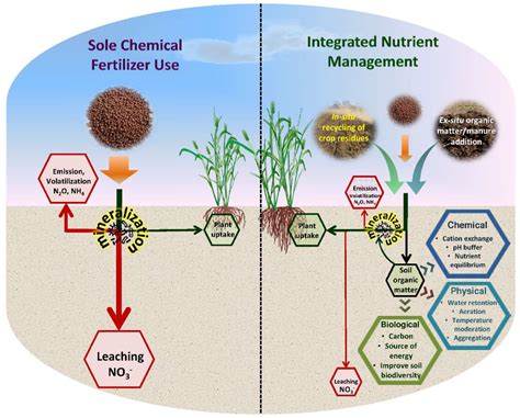 What is the effect of excessive use of manure in soil?