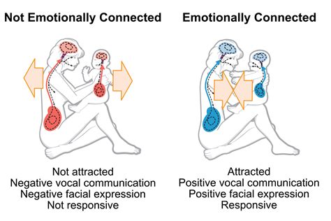 What is the emotional connection in synastry?