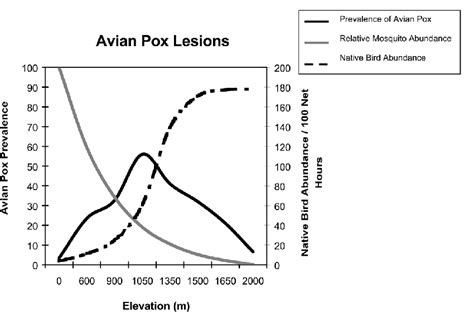 What is the epidemiology of avian pox?