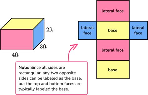 What is the fact of surface area?