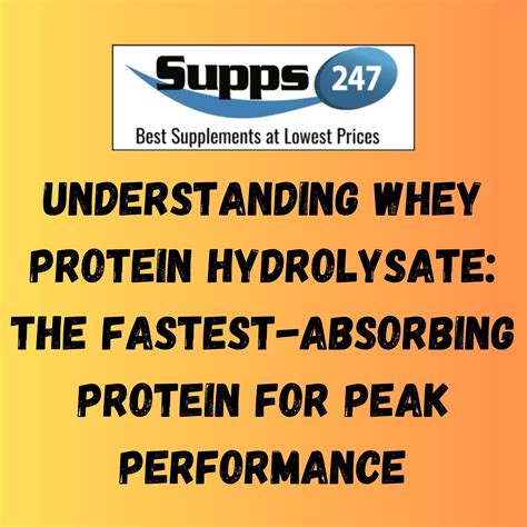 What is the fastest absorbing protein?