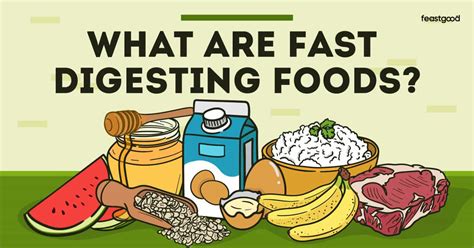 What is the fastest digesting food?