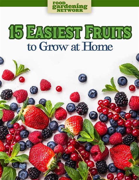 What is the fastest easiest fruit to grow?