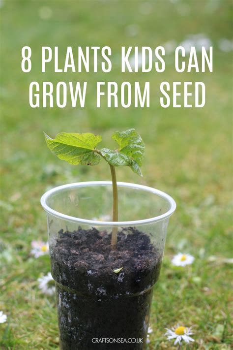 What is the fastest easiest thing to grow?