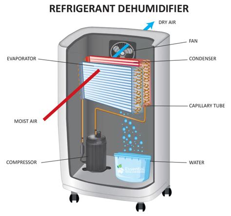 What is the fastest way to dehumidify a house?