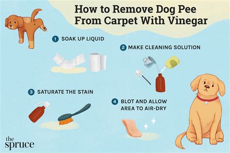 What is the fastest way to get dog urine out of carpet?