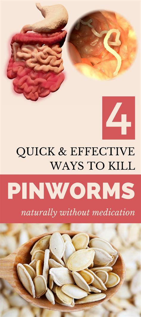 What is the fastest way to get rid of worms without medication?
