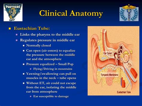 What is the fastest way to open eustachian tubes?
