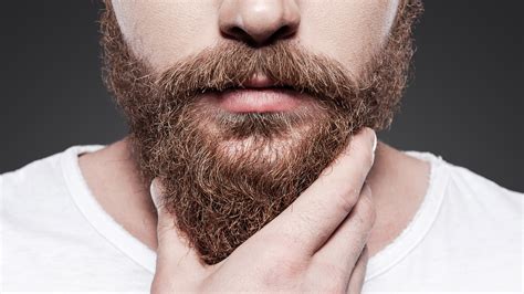What is the fear of beards called?
