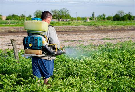 What is the first spray on potato crop?