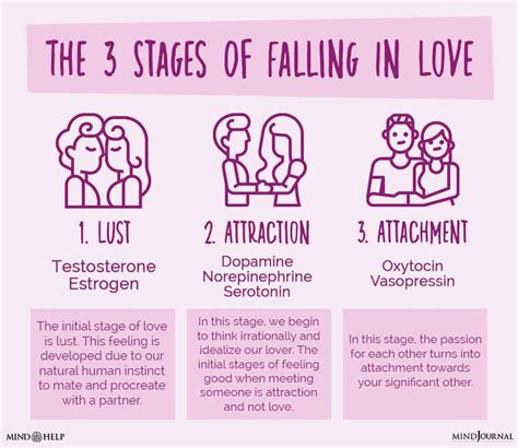 What is the first stage of falling in love?