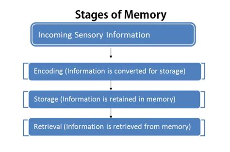 What is the first stage of memory?