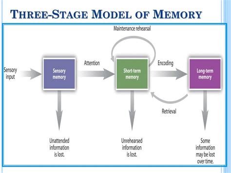 What is the first step of memory?