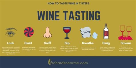 What is the first step of wine tasting?