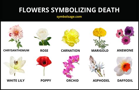 What is the flower of love and death?