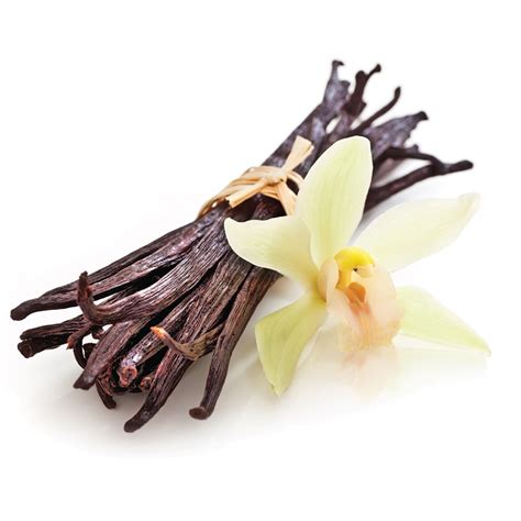 What is the fragrant component of vanilla?