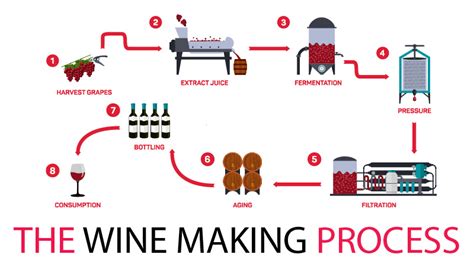 What is the full wine making process?