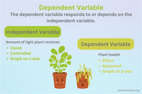 What is the function of the dependent variable?