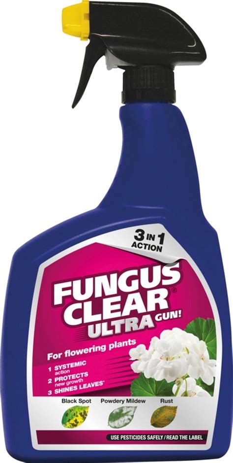 What is the fungal spray for black spot?