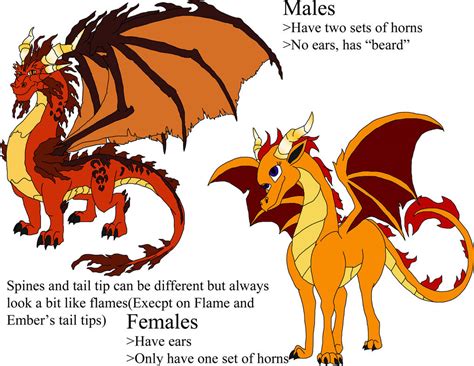 What is the gender of the dragons?